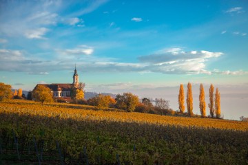 Die Basilika Birnau im Herbst