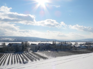 Kraft schöpfen am winterlichen Bodensee