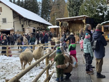 Tierische Begegnungen bei "Mehr Advent"
