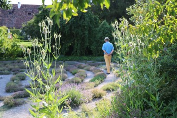 Thymianlabyrinth in der Kartause Ittingen