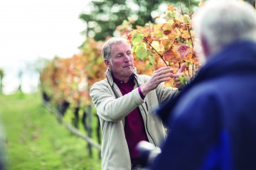 Für Hobby-Winzer und Weinkenner