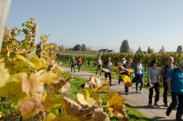 Von Gang zu Gang wandern