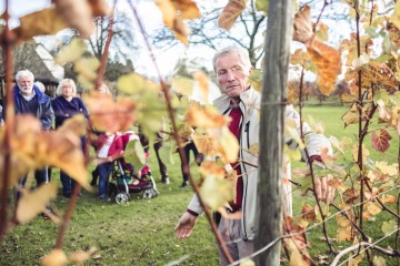 Beim Winzer-Hopping den goldenen Herbst auskosten