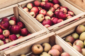 Knackiges Obst vom Lindauer Bodensee