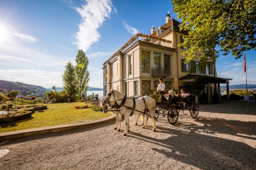 Kutschfahrten rund um das schönste Schloss am Bodensee