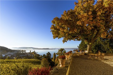 Schlossterrasse mit Blick auf den Untersee