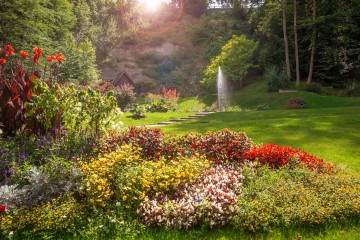 Arenenberger Parkträume