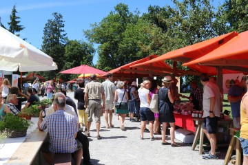 Arenenbergertag 2019