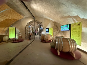 Historischer Weinkeller Arenenberg