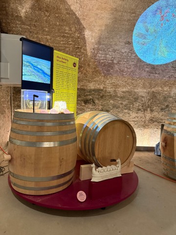 Sonderausstellung «2000 Jahre Wein auf Arenenberg»