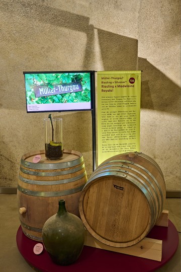 100 Jahre Müller-Thurgau-Schmuggel