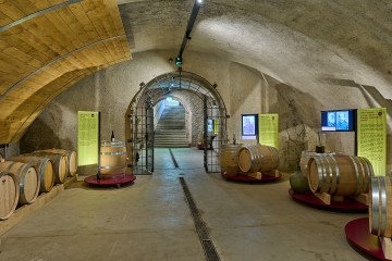Der historische Weinkeller auf dem Arenenberg