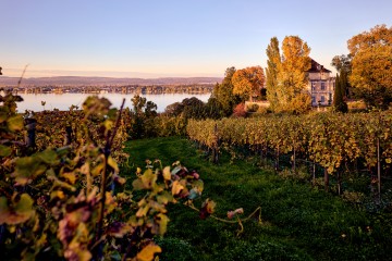 Schloss und Weingut auf dem Arenenberg