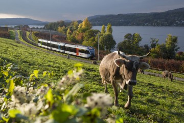 Mit der Bahn am Bodensee entlang