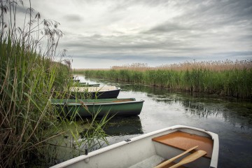 Entspannung am Federsee