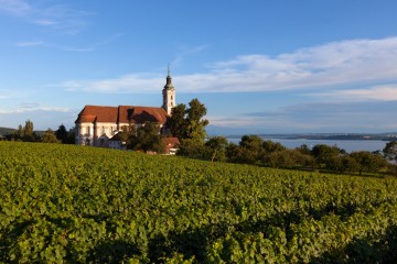 Die Wallfahrtskirche Birnau