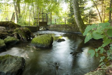 Stiller Bach in Weingarten