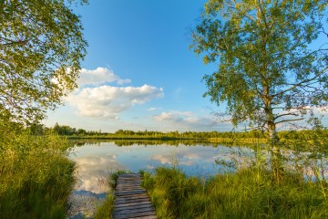 Riedsee im Wurzacher Ried