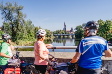 Blick auf das Ulmer Münster