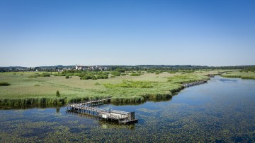 Federsee und Federseesteg