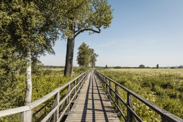 Naturparadies Federsee