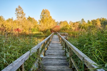 Steg im Kurpark Bad Wurzach