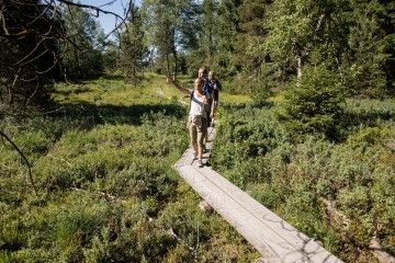 Geführte Moorwanderung bei Isny im Allgäu