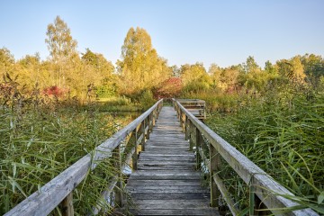 Goldener Herbst in Oberschwaben-Allgäu