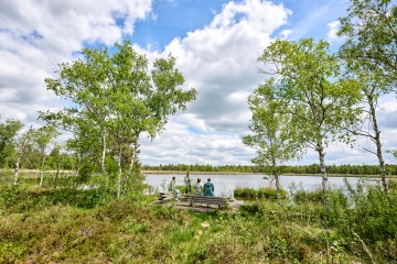Blick über den Riedsee des Wurzacher Rieds