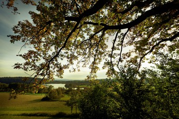 Blick auf den Mindelsee