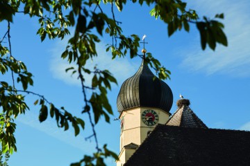 Störche zählen in Böhringen