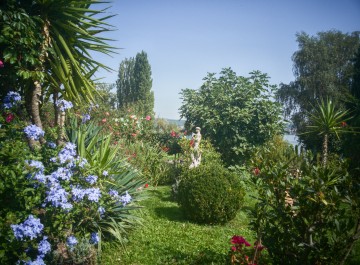 Geöffnete Privatgärten und Parks am Bodensee