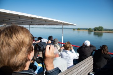 Vogelschau auf dem Schiff 