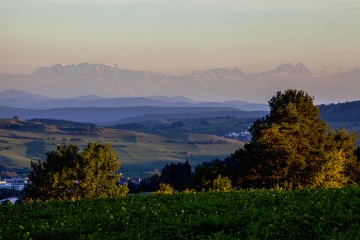 Blick auf den Hegau