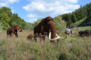 Steinzeitliche Fundstellen im Hegau