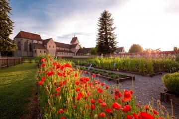 Die Weltkulturerbe-Insel Reichenau