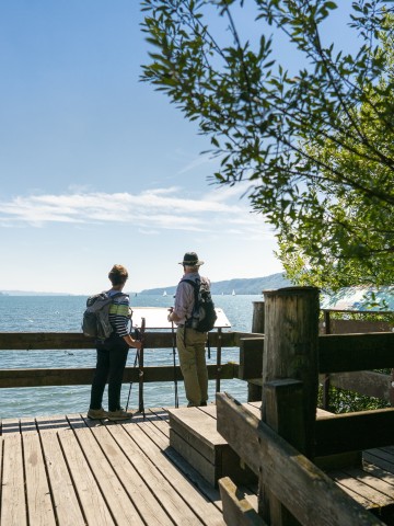 Premiumwanderweg SeeGang