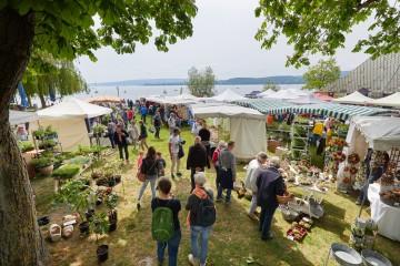 Kräutermarkt in Radolfzell