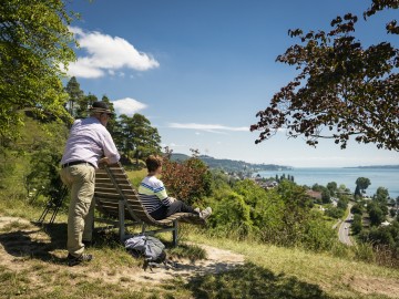 Traumhafte Aussichten von den Hegau-Vulkanen