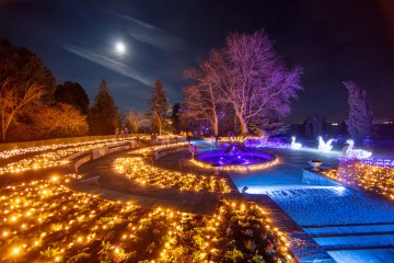 Christmas Garden auf der Insel Mainau