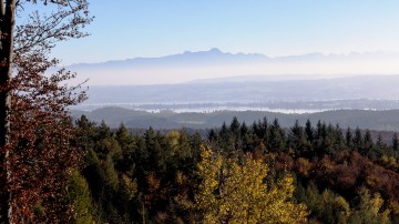 Bodanrück im Herbst