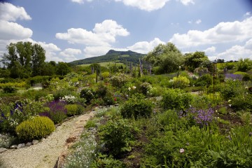 Blumige Aussichten im Syringa Kräutergarten