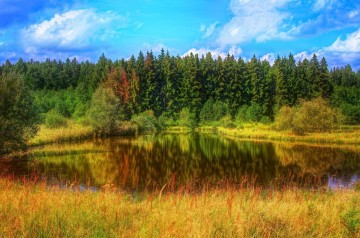 Herbstliche SinnesImpulse am westlichen Bodensee