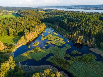 Natur-Ried auf dem Bodanrück