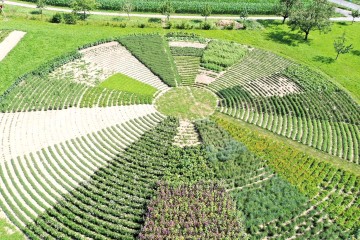 Kräuterrad im Schaugarten von Herbar Floralis