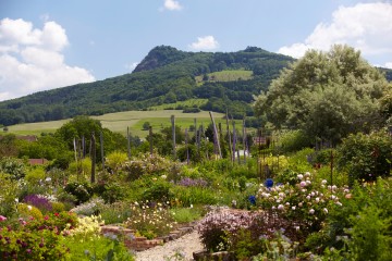 Syringa Duftgarten mit Blick auf einen der Hegau-Vulkane