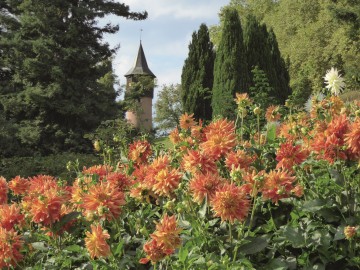 Inspirierende Gartenerlebnisse