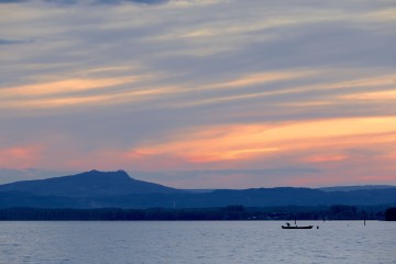 Bodensee-Wildfang auf den Tellern der Region