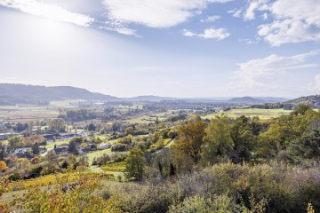 Blick über Bohlingen in den Hegau