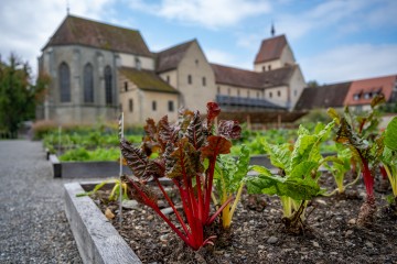 Jahrhundertealte Gartenkultur am westlichen Bodensee